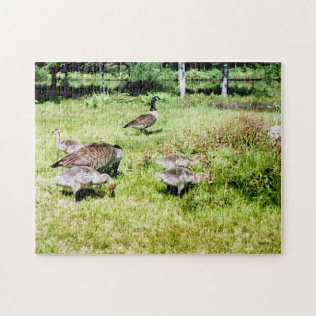 Family of Geese Jigsaw Puzzle (Horizontal)