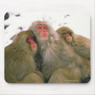 Family of Japanese macaque, Jigokudani, Mouse Pad