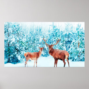 Family of noble deer in a snowy winter. Christmas  Poster