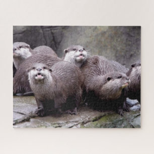 Family of Otters Jigsaw Puzzle