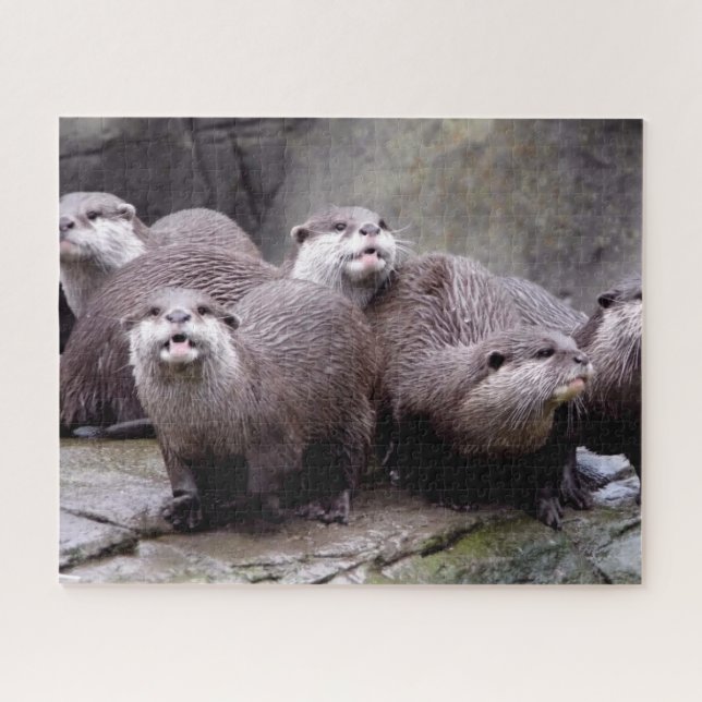 Family of Otters Jigsaw Puzzle (Horizontal)