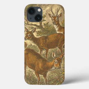 Family of Roe - Deers in a Forest iPhone 13 Case
