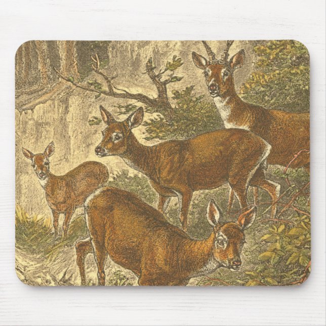 Family of Roe - Deers in a Forest Mouse Pad (Front)