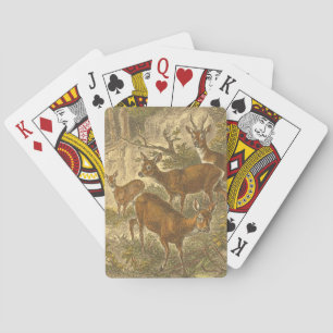 Family of Roe - Deers in a Forest Playing Cards