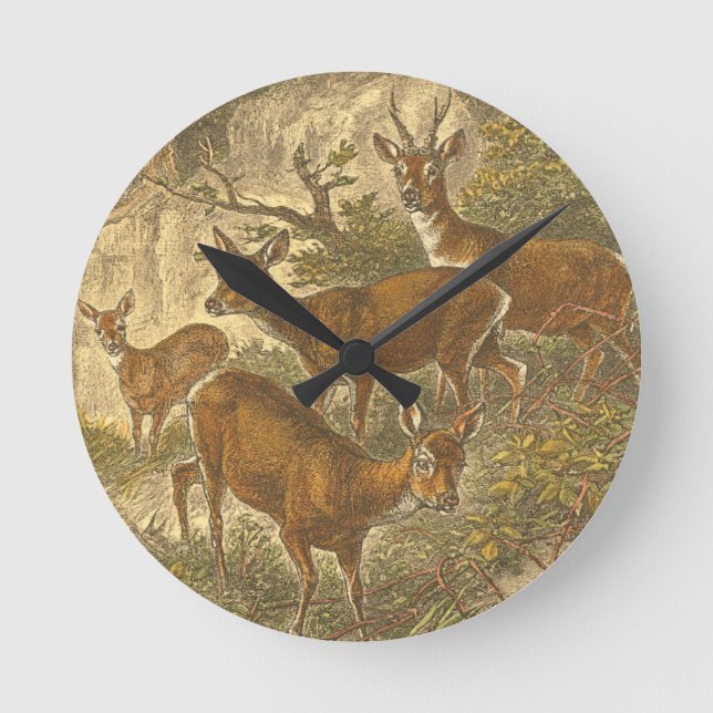 Family of Roe - Deers in a Forest Round Clock (Front)