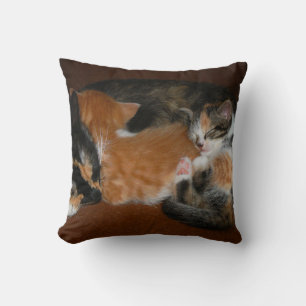 Family of sleepy kittens cushion