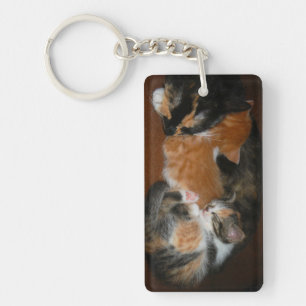 Family of sleepy kittens key ring