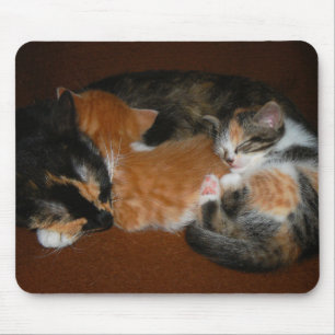 Family of sleepy kittens mouse pad