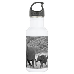 Family of South African elephants 532 Ml Water Bottle