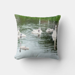 Family Of Swans Cushion