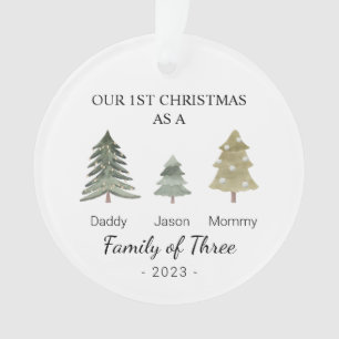 Family of Three Personalised Babys First Christmas Ornament