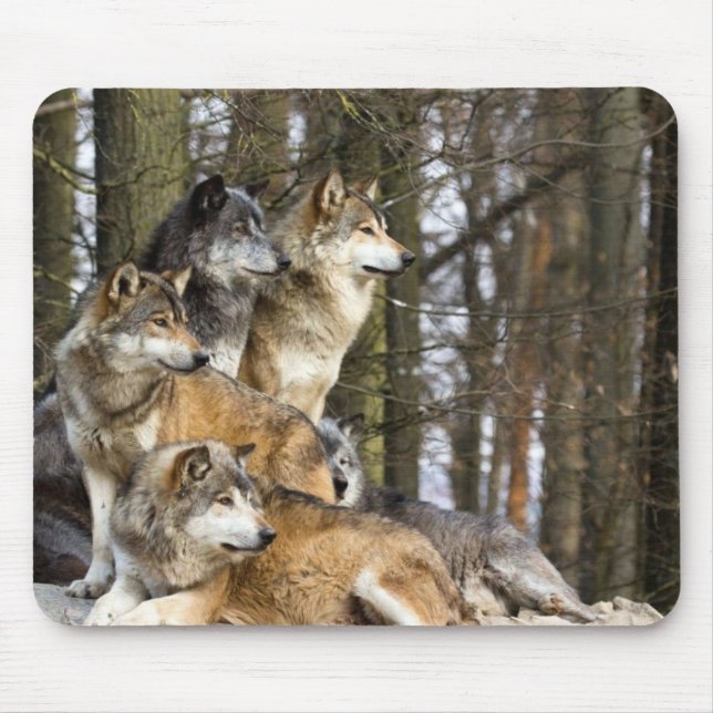 Family of Wolves Mouse Pad (Front)