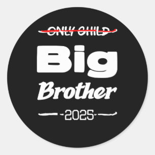 Family Only Child Big Brother Sticker