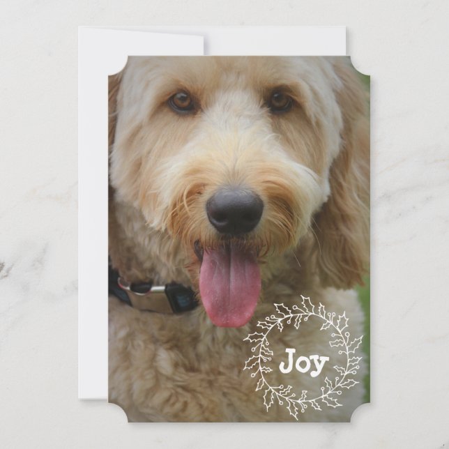 Family or Pet Holiday Photo Card (Front)