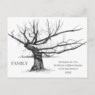 FAMILY: Pencil Art: Gnarly Old Tree: Family Ties Postcard