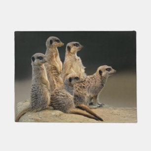 Family Portrait Door Mat