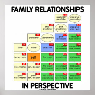 Family Relationships In Perspective (Reunion) Poster