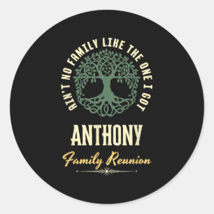 Family Reunion 2025 Matching Design - Anthony Classic Round Sticker