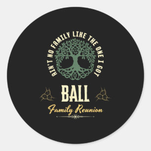 Family Reunion 2025 Matching Design - Ball Classic Round Sticker