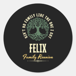 Family Reunion 2025 Matching Design - Felix Classic Round Sticker
