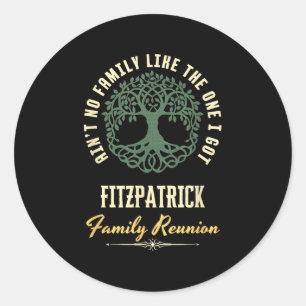 Family Reunion 2025 Matching Design - Fitzpatrick Classic Round Sticker