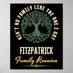 Family Reunion 2025 Matching Design - Fitzpatrick Poster