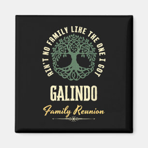 Family Reunion 2025 Matching Design - Galindo Magnet