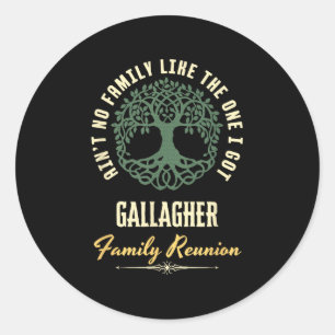 Family Reunion 2025 Matching Design - Gallagher Classic Round Sticker