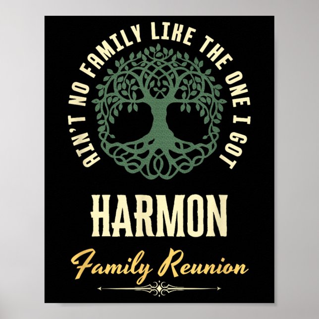 Family Reunion 2025 Matching Design - Harmon  Poster (Front)