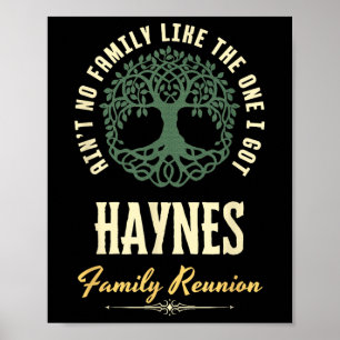 Family Reunion 2025 Matching Design - Haynes  Poster