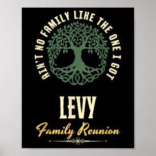Family Reunion 2025 Matching Design - Levy  Poster