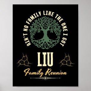Family Reunion 2025 Matching Design - Liu Poster