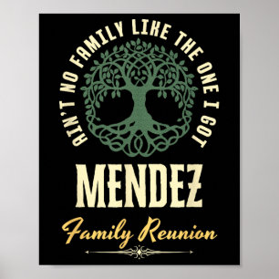 Family Reunion 2025 Matching Design - Mendez  Poster