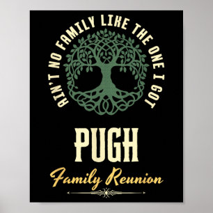 Family Reunion 2025 Matching Design - Pugh Poster