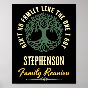 Family Reunion 2025 Matching Design - Stephenson  Poster