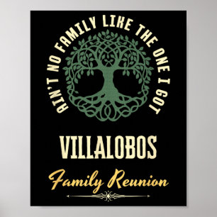 Family Reunion 2025 Matching Design - Villalobos Poster