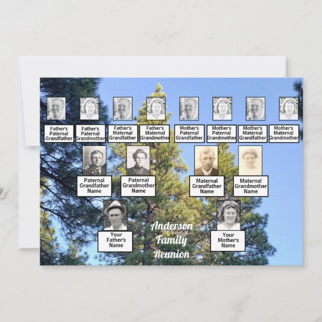 Family Reunion Family Tree Pine Tree Forest Invitation (Front)