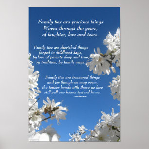 Family Ties Magnolia Poster