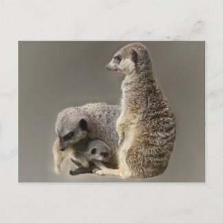 Family ties postcard