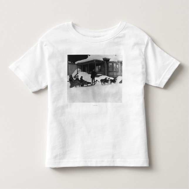 Family travelling by Dog Sled in Alaska Toddler T-Shirt (Front)