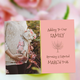 Family Tree Addition   Pregnancy Announcement Postcard