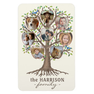 Family Tree Photo Collage 8 Pictures Name Lt Beige Magnet