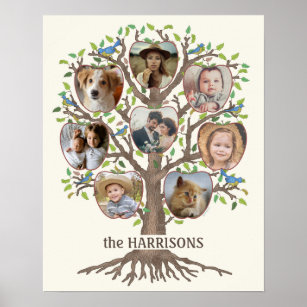Family Tree Photo Collage 8 Pictures Name Lt Beige Poster
