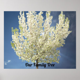 Family Tree White Blossoming Tree Photo   Name Poster