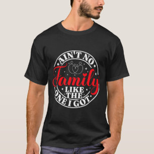Family vibes family reunion 2026 performance T-Shirt