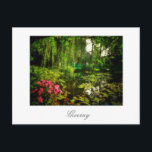 Famous Claude Monet Giverny Pond Lilies Postcard<br><div class="desc">Famous Claude Monet Giverny,  France Pond with Lilies Canvas Stylised Photo Postcard to add to your travel memorabilia collection. A cool gift / present idea for all who love custom design personalised items,  positive vibes,  architecture,  travelling,  all things French,  magic landscapes,  nature,  flowers,  romance,  art,  paintings etc.</div>
