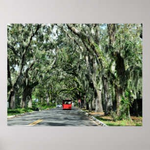 Famous Magnolia Ave St. Augustine, Florida Poster