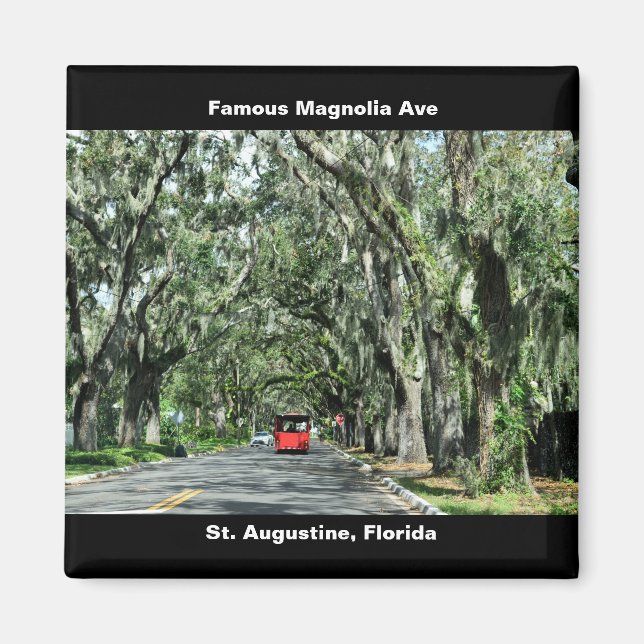 Famous Magnolia Avenue Magnet (Front)