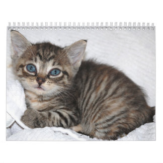 Famous Miracle Manx Calendar