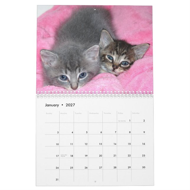 Famous Miracle Manx Calendar (Jan 2027)